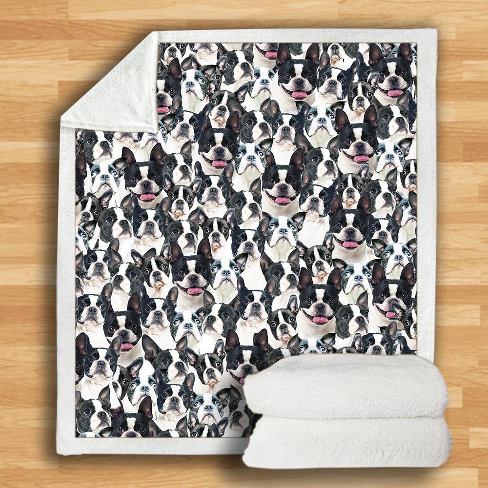 Boston Terriers - Blanket V2
