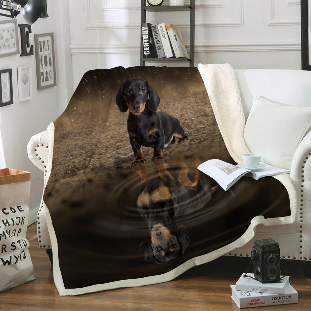 Dachshund Blanket V8