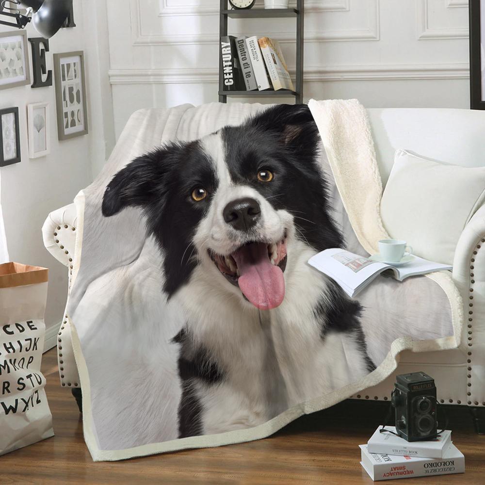 Border Collie Blanket V4 Follus
