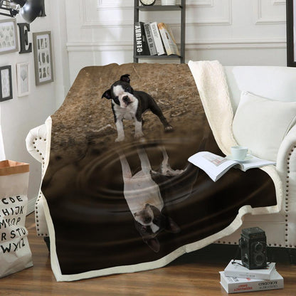 Boston Terrier Blanket V3
