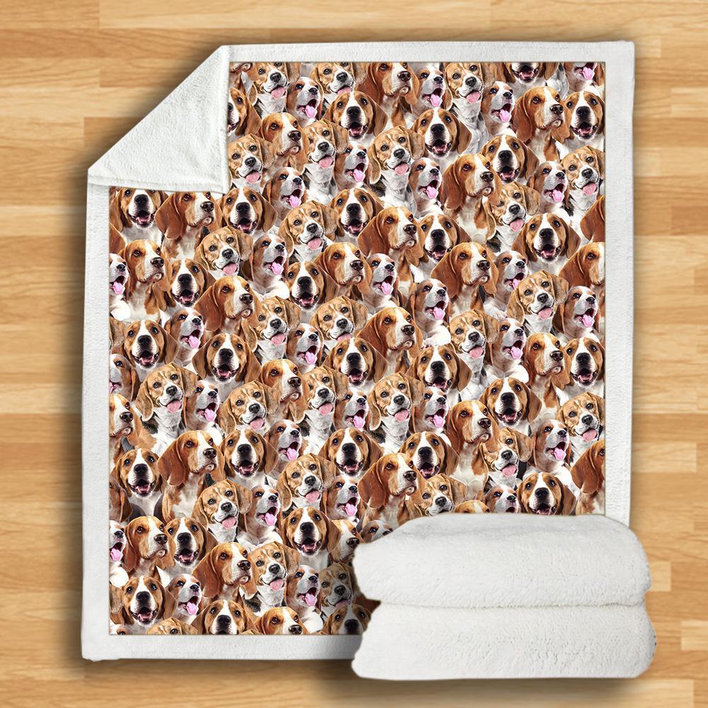 Beagles - Blanket V2