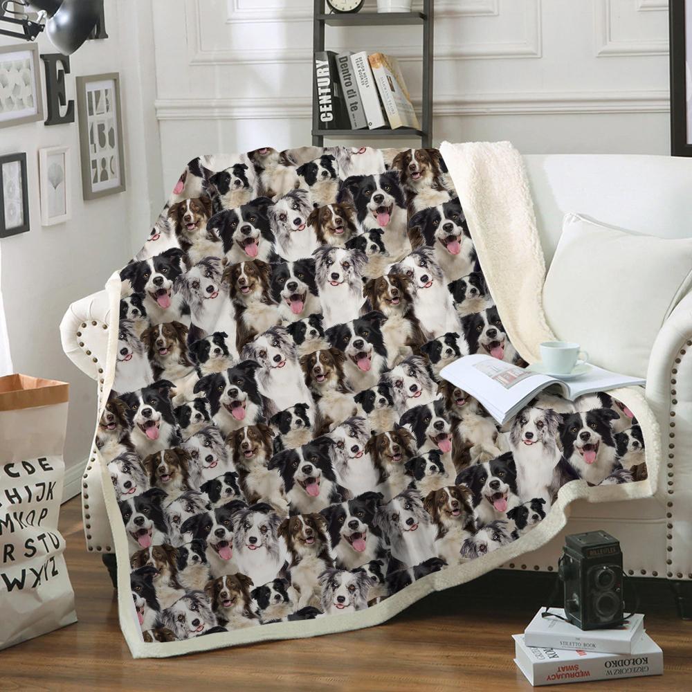 You Will Have A Bunch Of Border Collies - Blanket V2