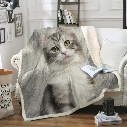 American Curl Blanket