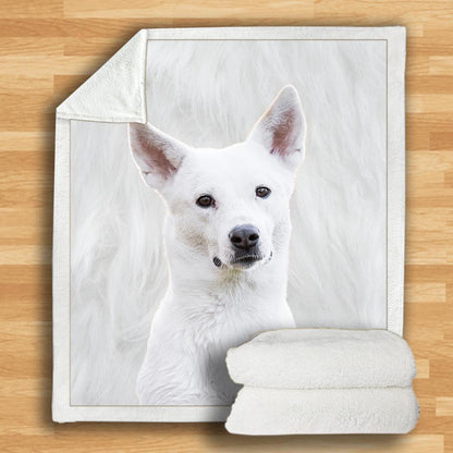 Canaan Dog Blanket