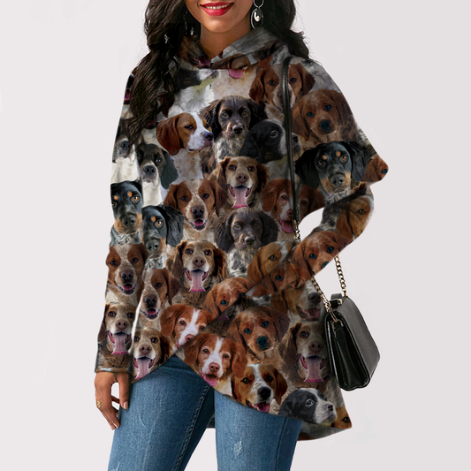 A Bunch Of Brittany Spaniels - Fashion Long Hoodie V1