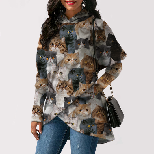 A Bunch Of Exotic Cats - Fashion Long Hoodie V1