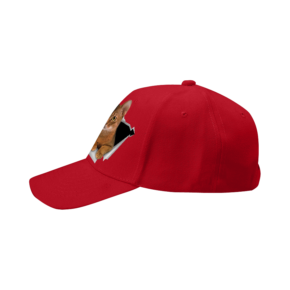 Abyssinian Cat Fan Club - Hat V2