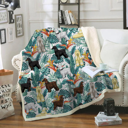 Afghan Hound - Colorful Blanket V1