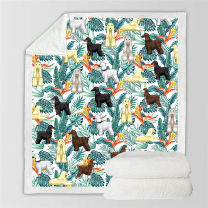 Afghan Hound - Colorful Blanket V1