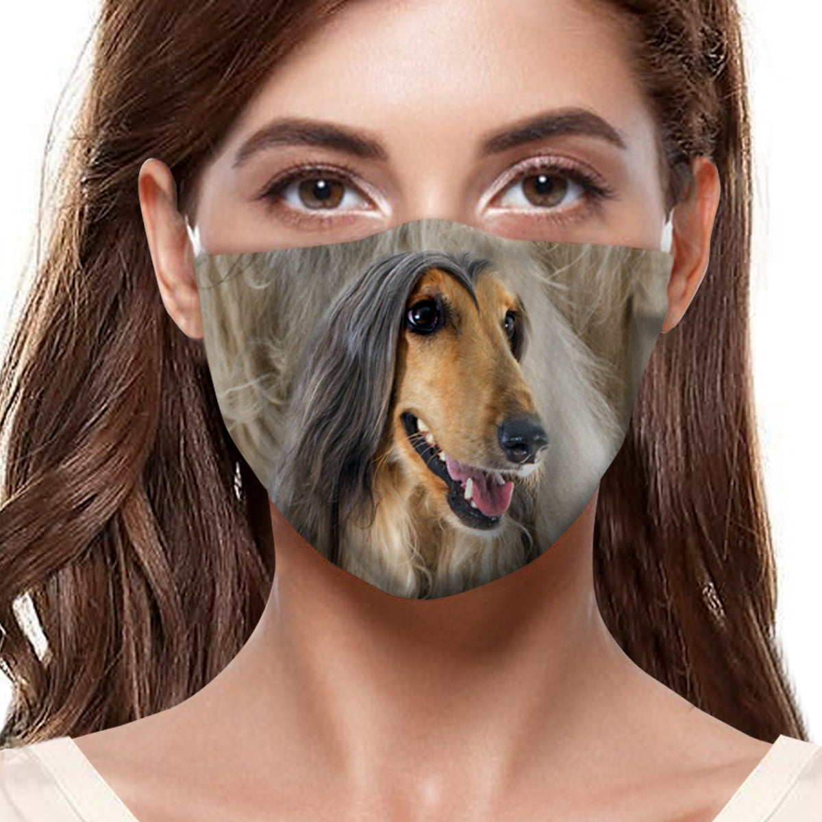 Afghanischer Windhund F-Maske V1