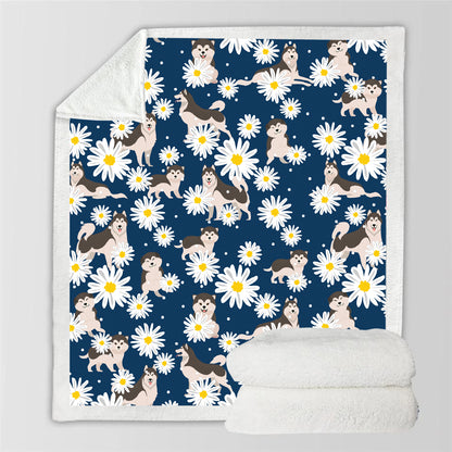 Malamute d'Alaska - Couverture colorée V1