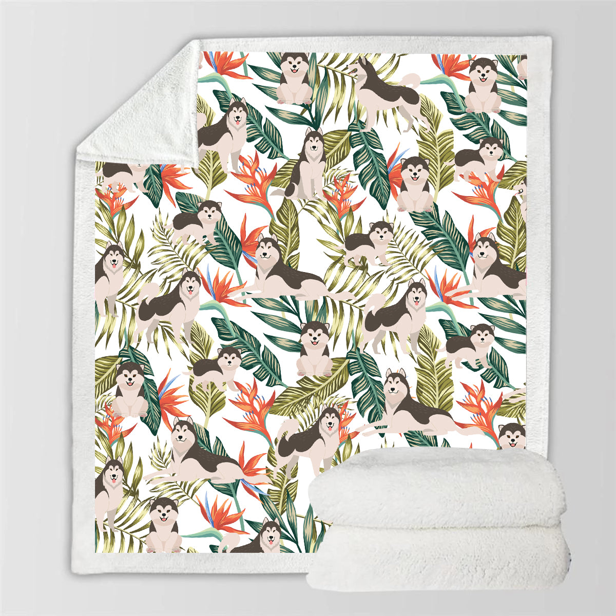 Alaskan Malamute - Bunte Decke V2