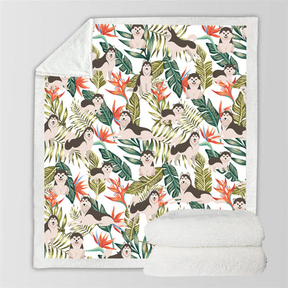 Alaskan Malamute - Bunte Decke V2