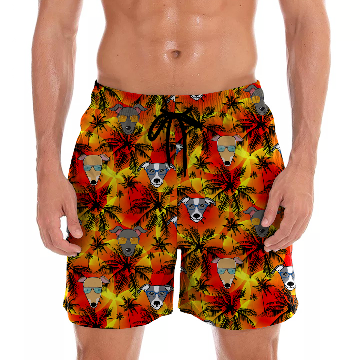 Windhund - Aloha Hawaiian Shorts V2