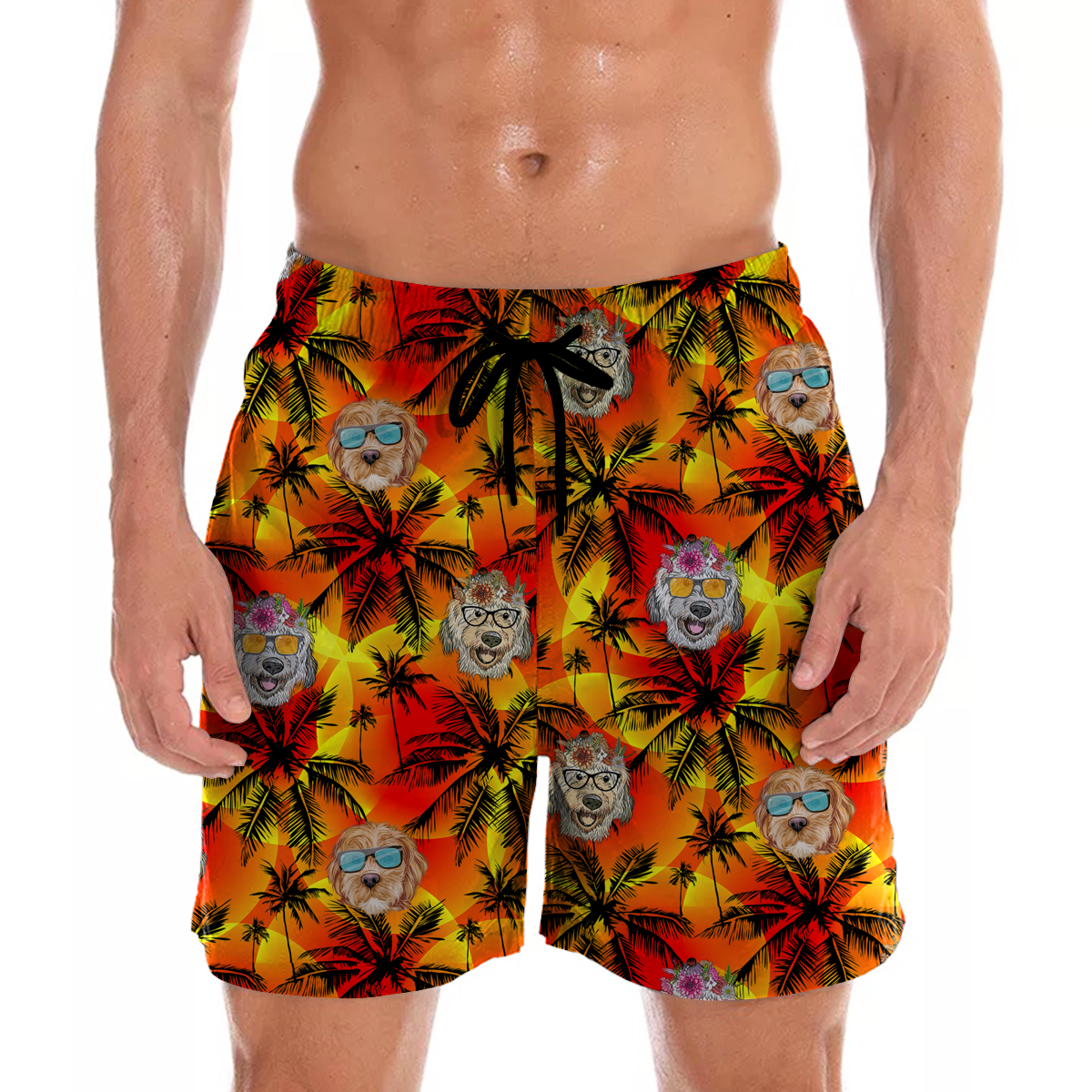 Labradoodle - Short hawaïen Aloha V1