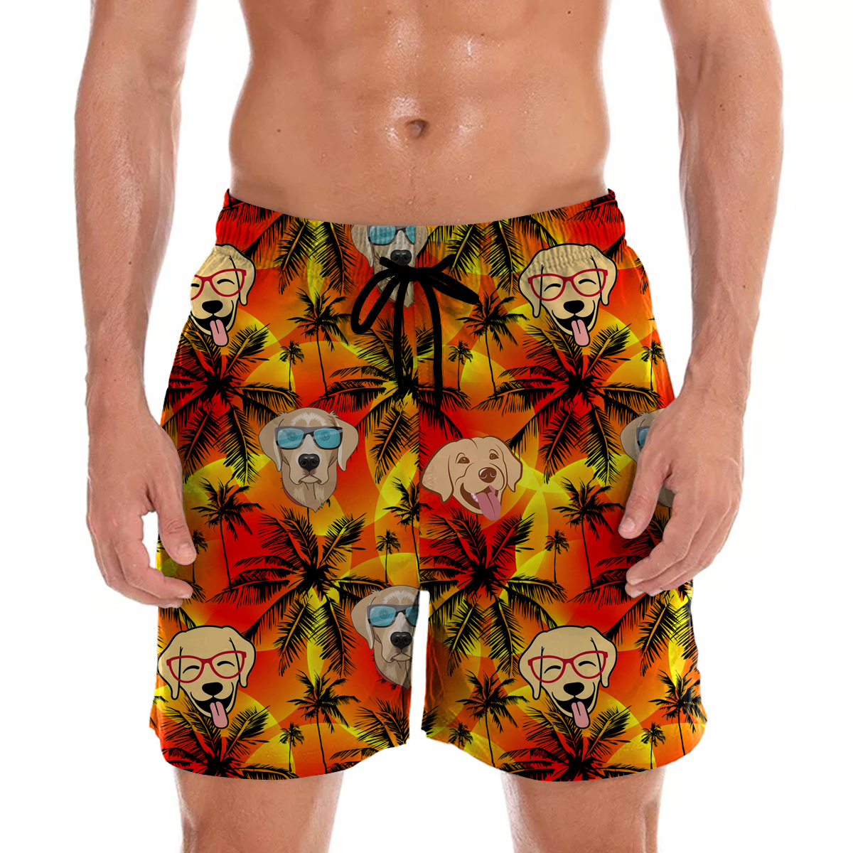 Labrador - Short hawaïen Aloha V2