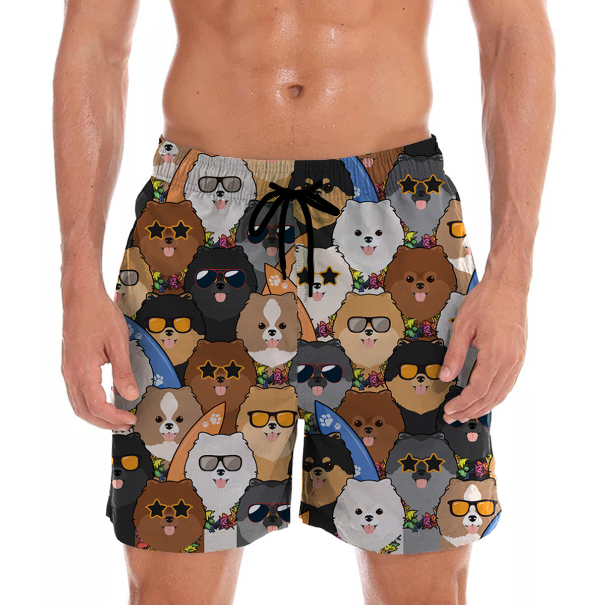 Aloha Hawaiian Pomeranian Shorts V4