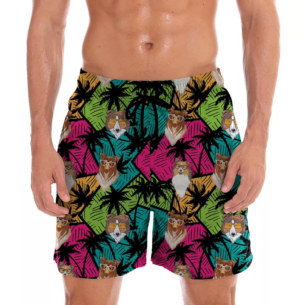 Berger des Shetland - Short hawaïen Aloha V1