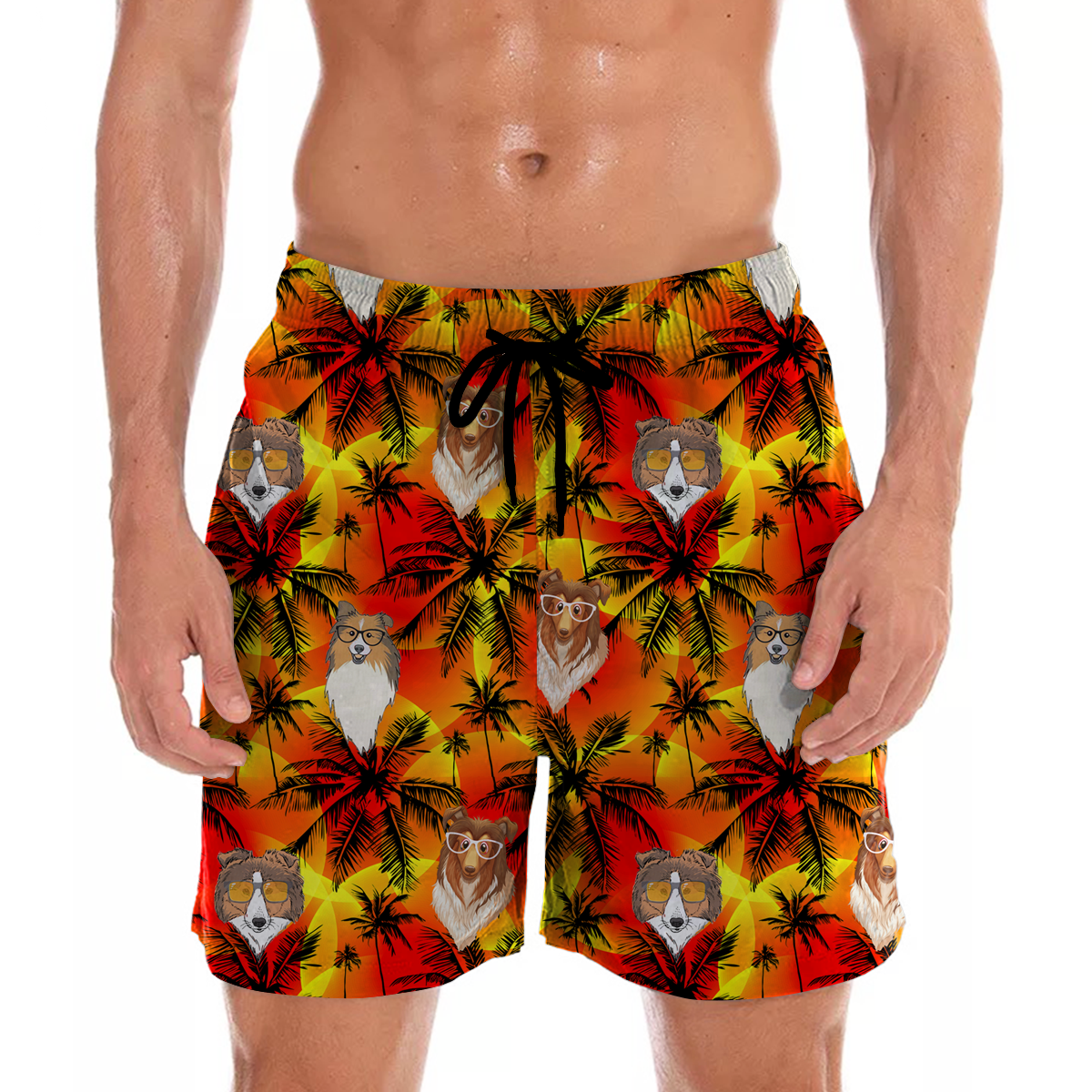 Berger des Shetland - Short hawaïen Aloha V2