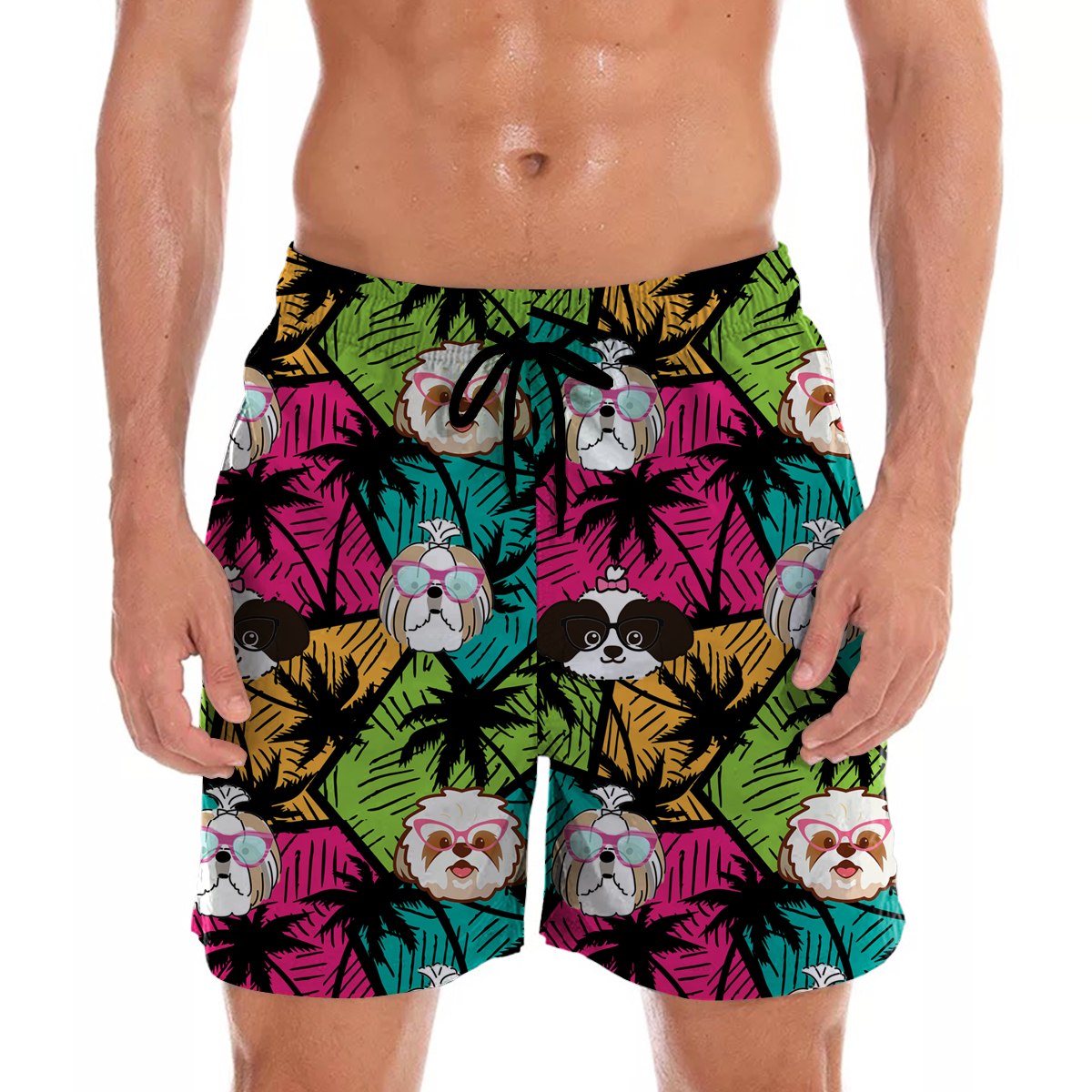 Shih Tzu - Short hawaïen Aloha V1