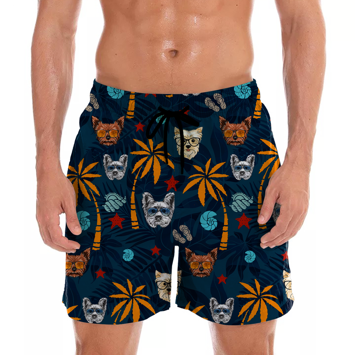 Yorkshire Terrier - Short hawaïen Aloha V1