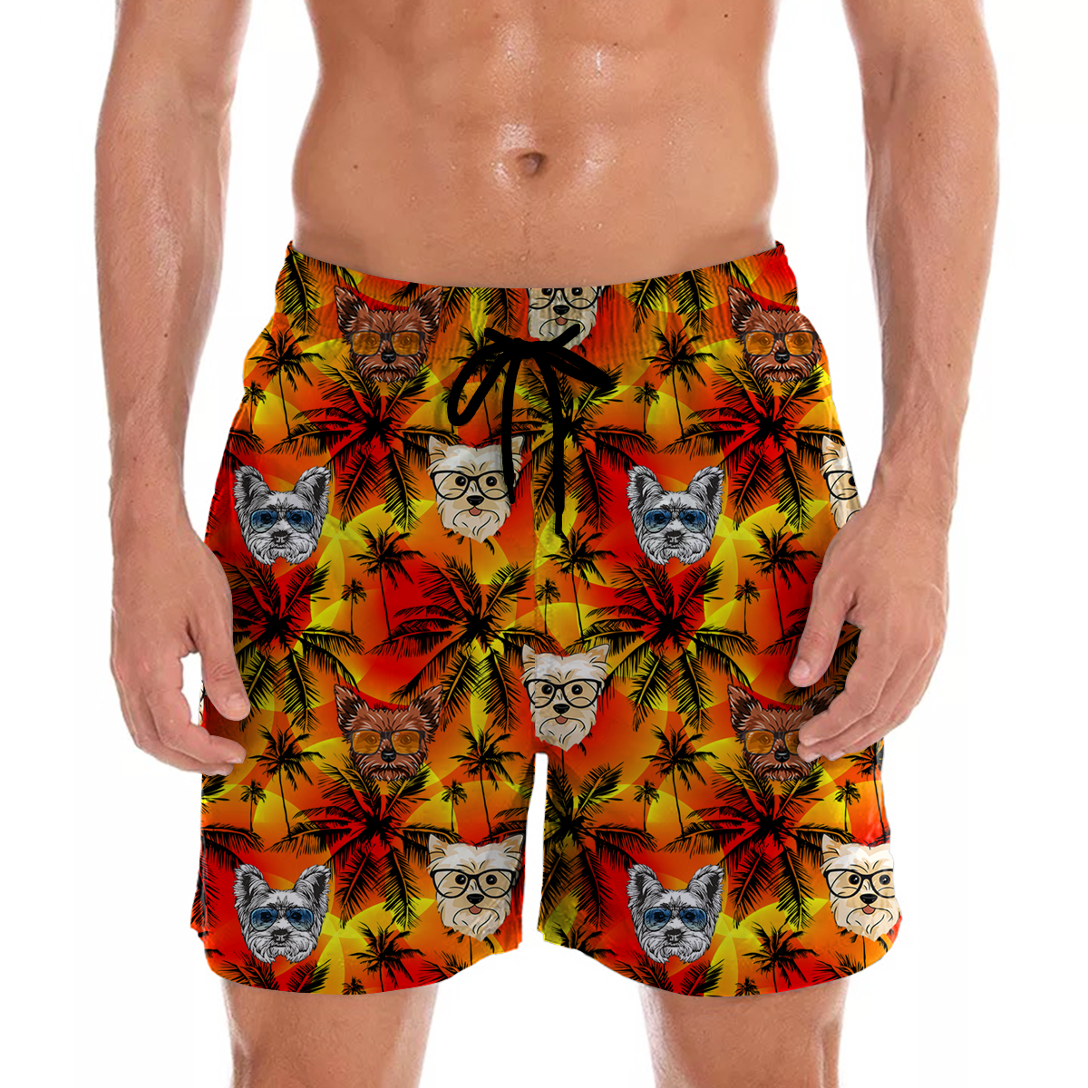 Yorkshire Terrier - Short hawaïen Aloha V2