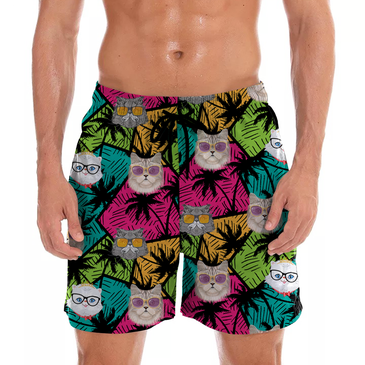 Chat persan - Short hawaïen Aloha V1