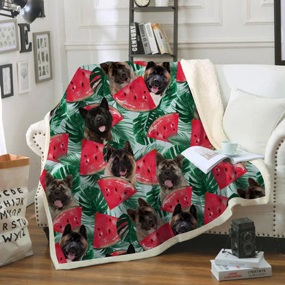 American Akita - Colorful Blanket V1