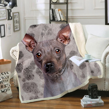 American Hairless Terrier - Blanket V1