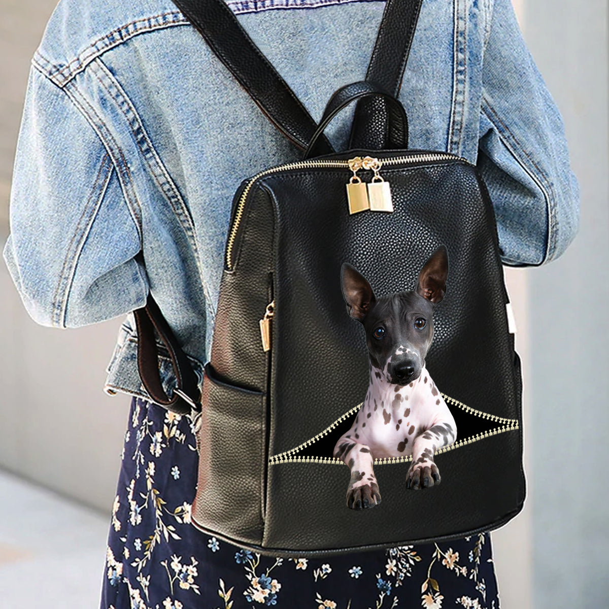 Sac à dos American Hairless Terrier V1