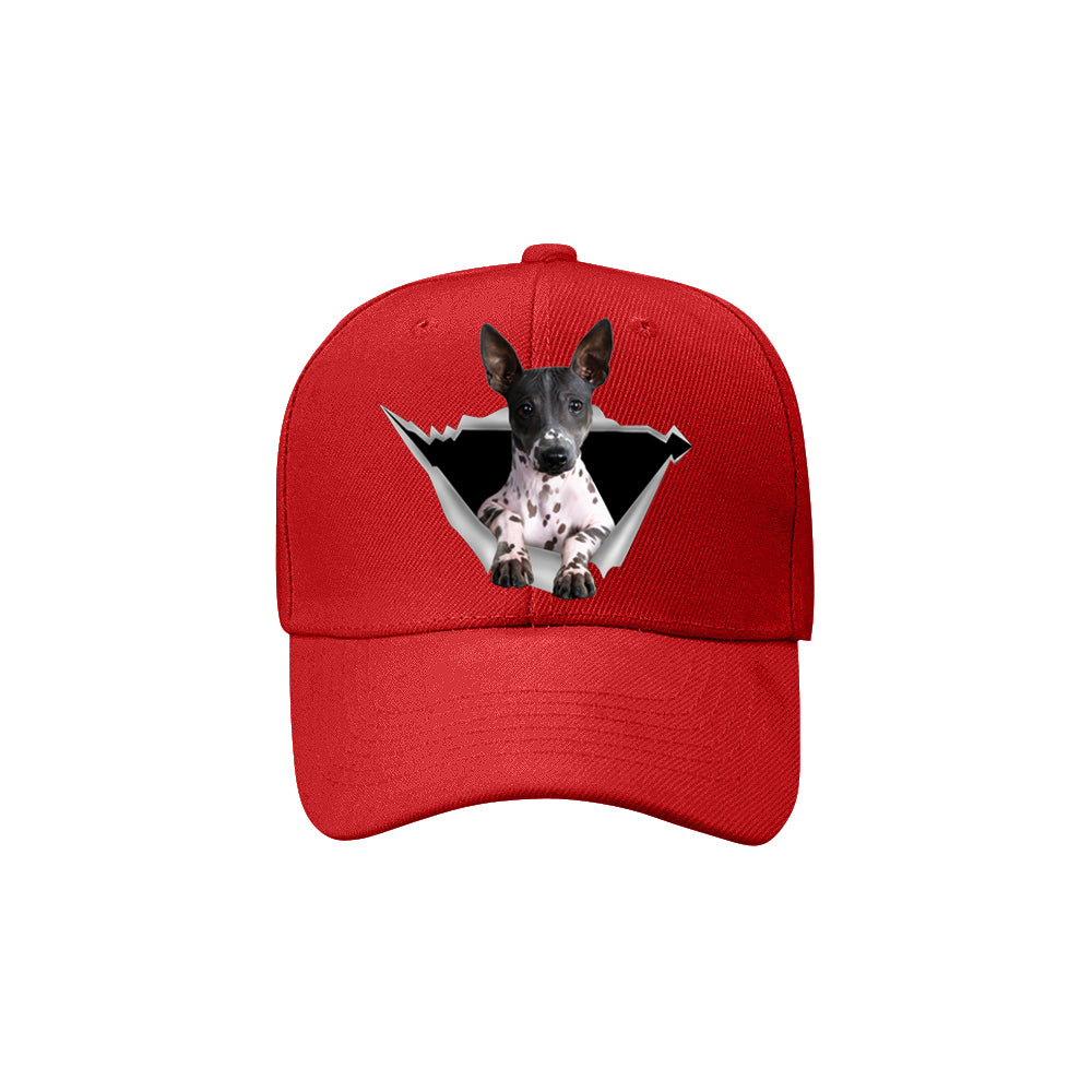 Fan Club de l'American Hairless Terrier - Chapeau V2