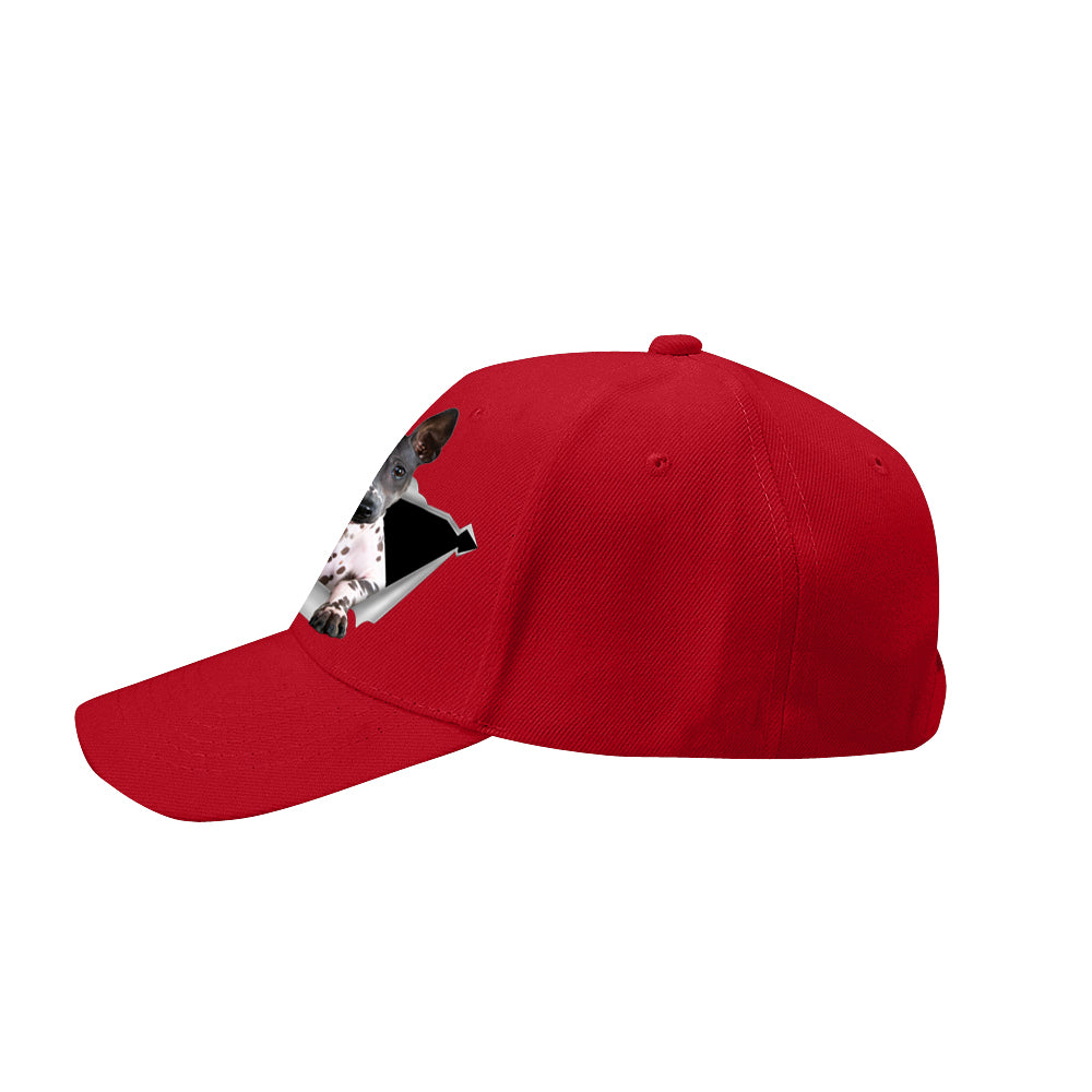 Fan Club de l'American Hairless Terrier - Chapeau V2