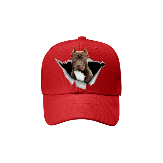Fan Club de l'American Pit Bull Terrier - Chapeau V4