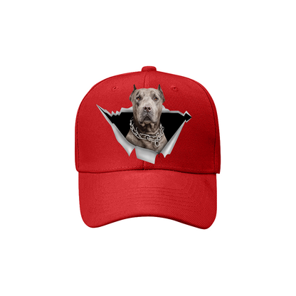 American Pit Bull Terrier Fan Club - Hat V7