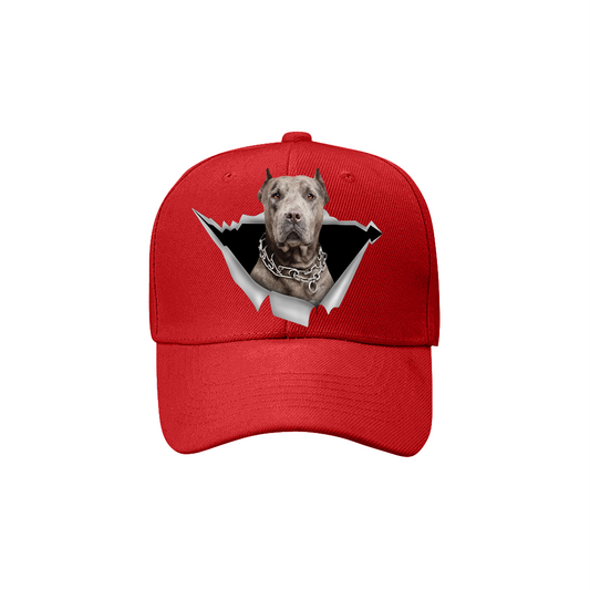 American Pit Bull Terrier Fan Club - Hut V7