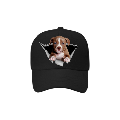 American Pit Bull Terrier Fan Club - Hat V1