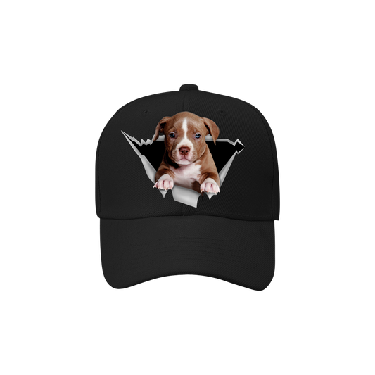 American Pit Bull Terrier Fan Club - Hut V1