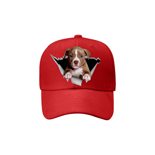 American Pit Bull Terrier Fan Club - Hut V2