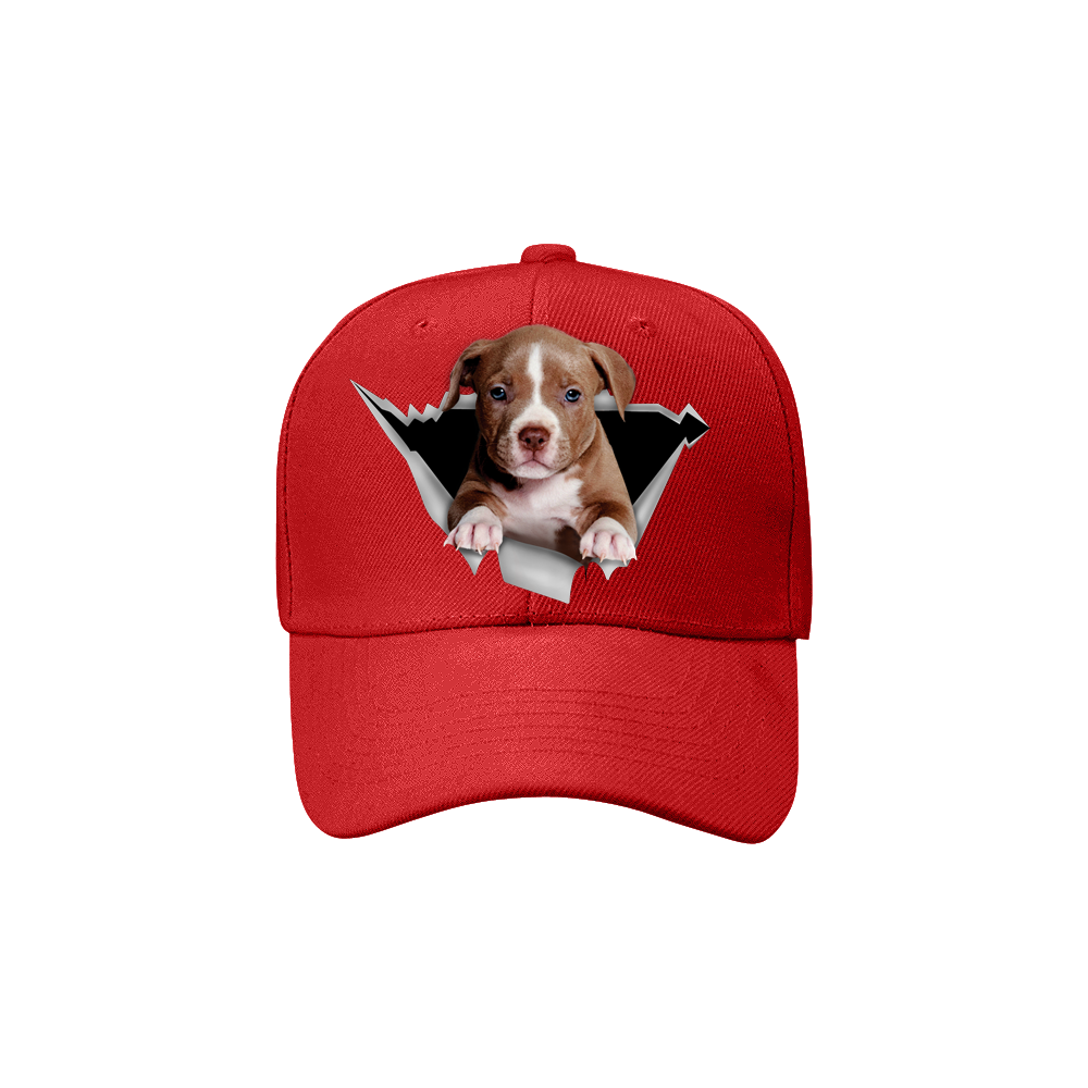Fan Club American Pit Bull Terrier - Chapeau V2