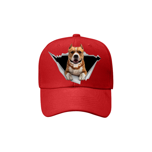 American Staffordshire Terrier Fan Club - Hat V2