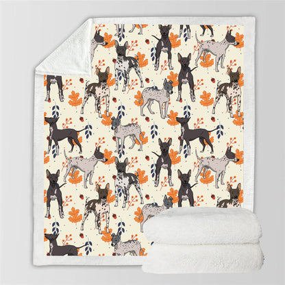 Fall-Winter - American Hairless Terrier Blanket V1