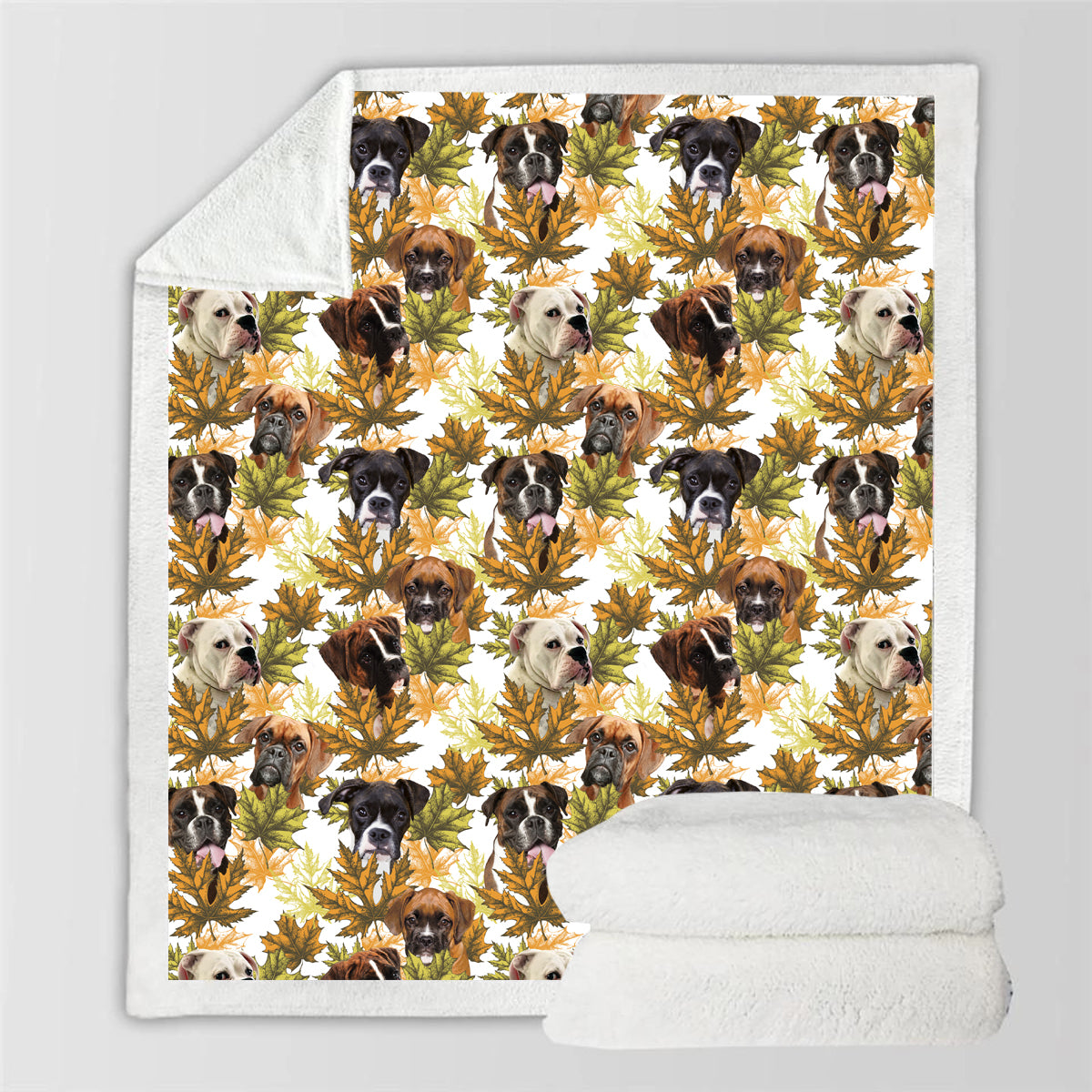 Fall-Winter - Boxer Blanket V1