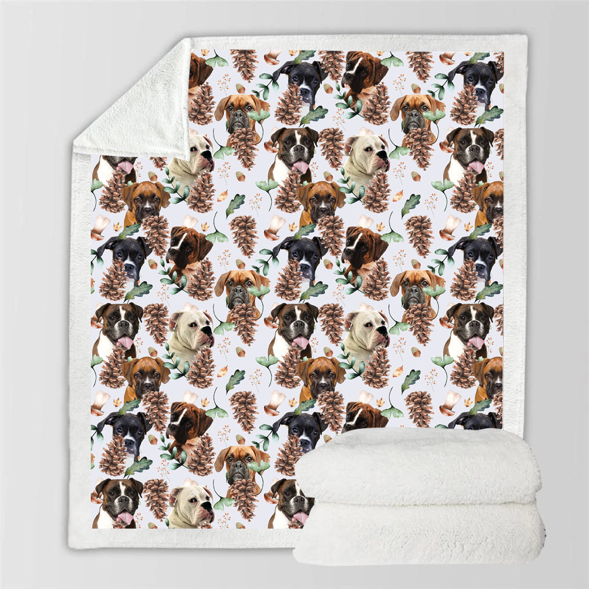 Fall-Winter - Boxer Blanket V2