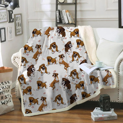 Fall-Winter - Boxer Blanket V3