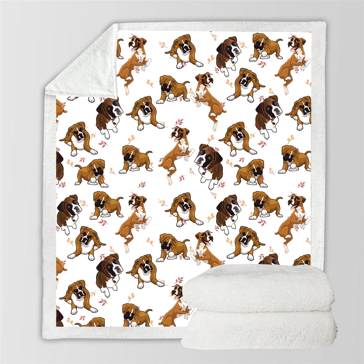 Fall-Winter - Boxer Blanket V3