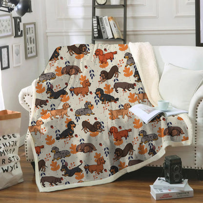 Fall-Winter - Dachshund Blanket V3