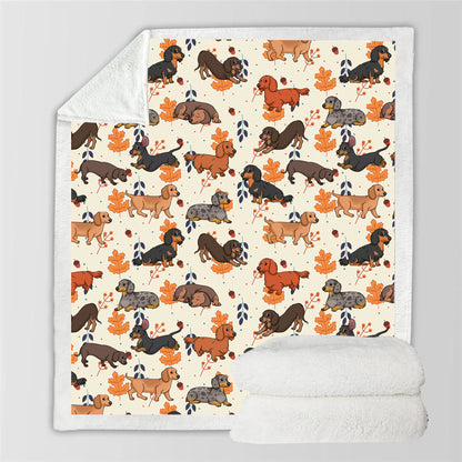 Fall-Winter - Dachshund Blanket V3