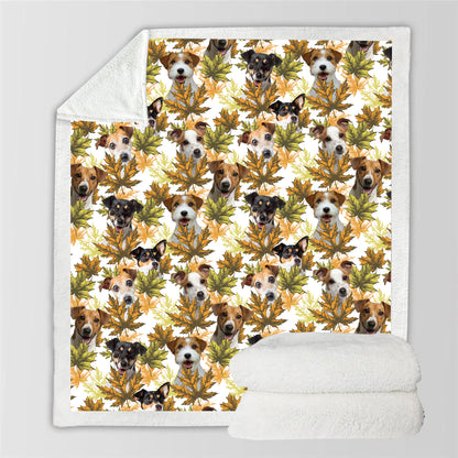 Automne-Hiver - Couverture Jack Russell Terrier V2