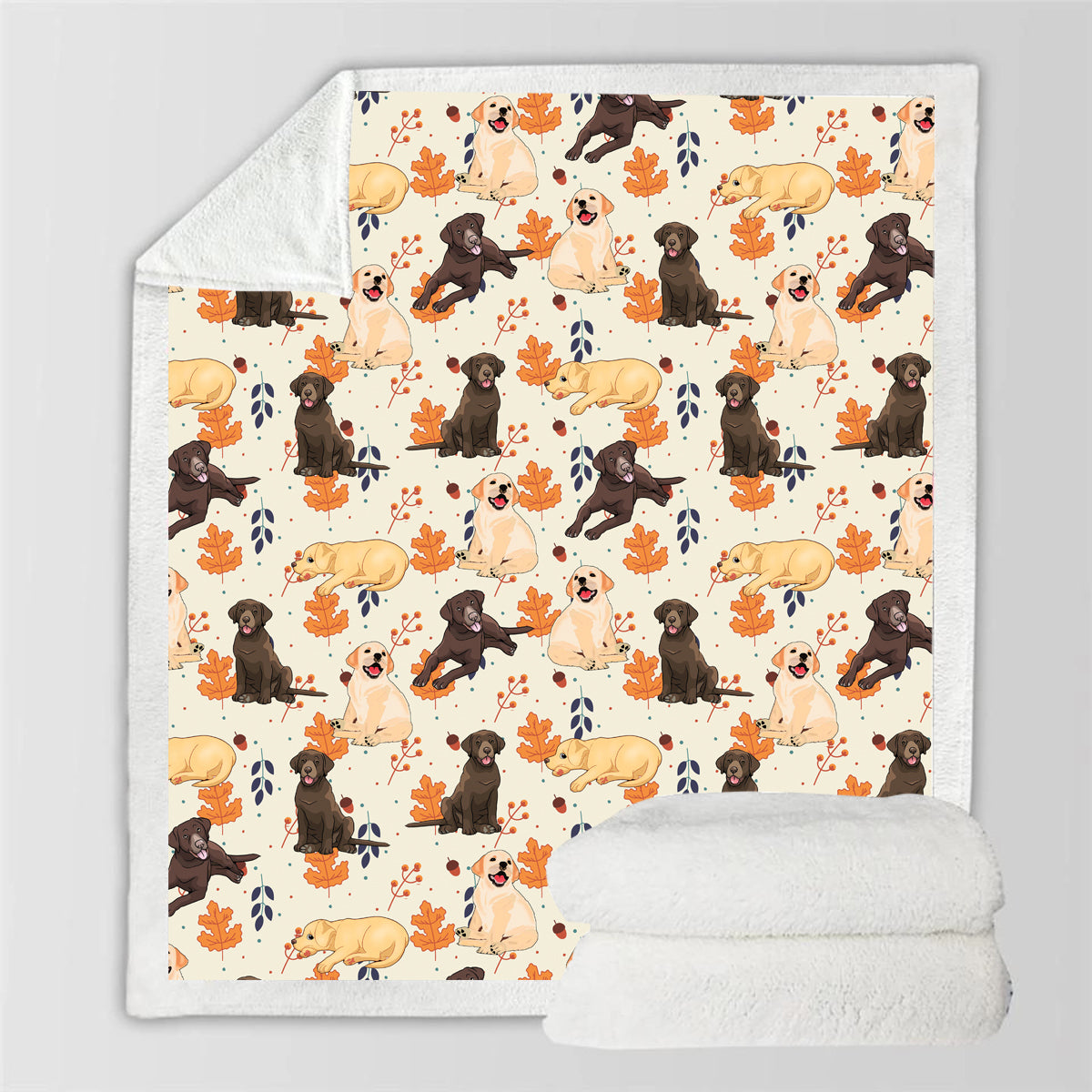 Automne-Hiver - Couverture Labrador V2