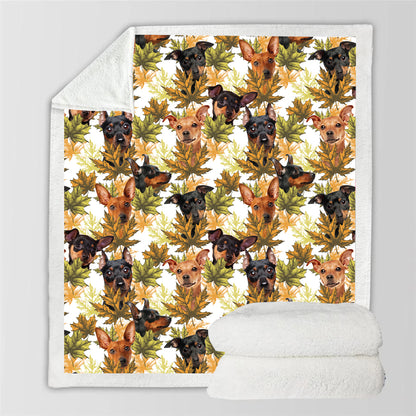 Fall-Winter - Miniature Pinscher Blanket V1